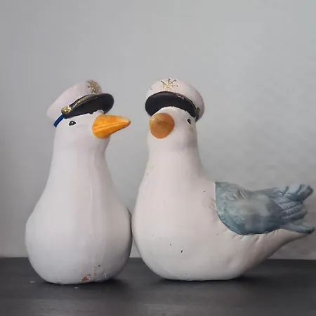 Hausboot La Mare Sonja 船上ホテル Weyhe